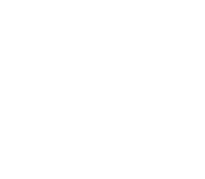 icon_or